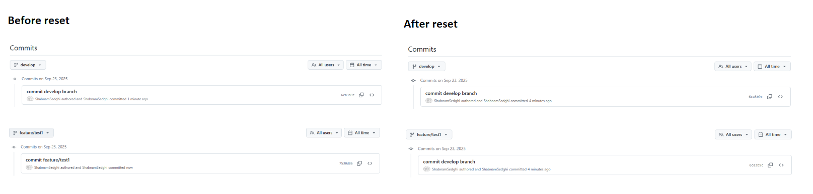 Databricks Git Reset Example